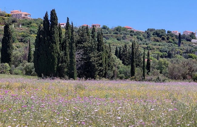 Villa Elaionas 1 - Photo 37