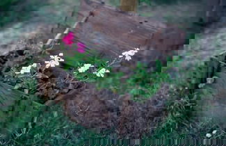 Photo 40 - Eftihia Studios