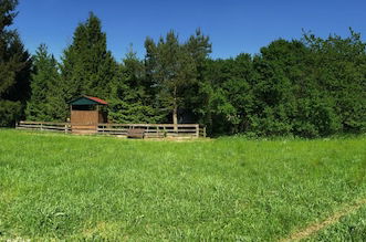 Photo 35 - Ferienhaus Mirow-Lärz - Kamin Wald Ruhe