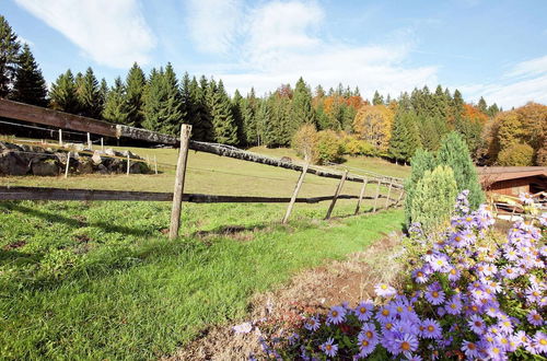 Foto 13 - Apartment in the Black Forest With Garden