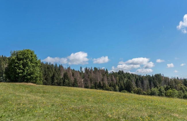 Apartment in Dachsberg-urberg - Foto 38