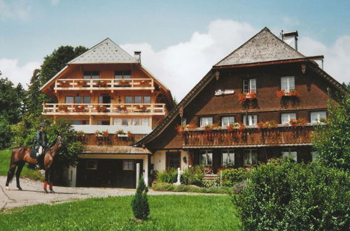 Photo 16 - Apartment in the Black Forest With Garden