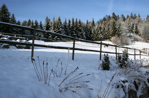 Foto 19 - Apartment in the Black Forest With Garden