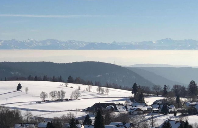 Apartment in Dachsberg-urberg - Foto 35