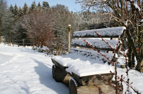 Photo 22 - Apartment in the Black Forest With Garden