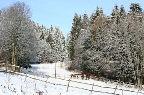 Photo 23 - Apartment in the Black Forest With Garden