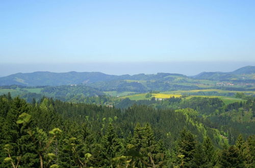 Foto 18 - Apartment in the Black Forest With Garden