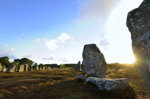 Photo 25 - Macareux moine