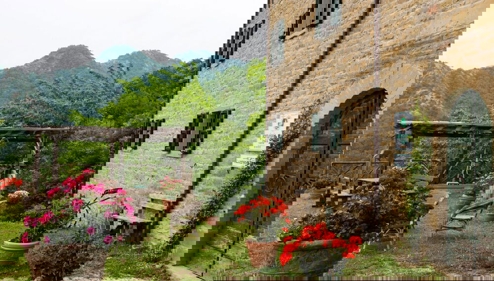 Imagem principal
