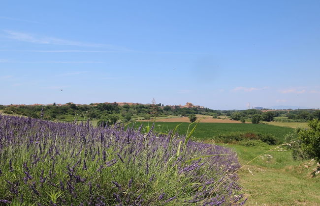 Farmhouse in Montalto Near Sandy Beach - Foto 26