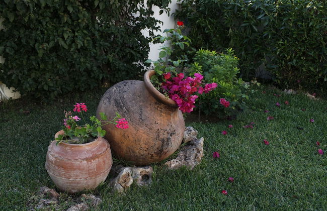 Muthu Balaia Sol - Foto 58