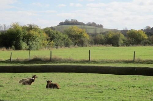 Photo 12 - The Red Barn