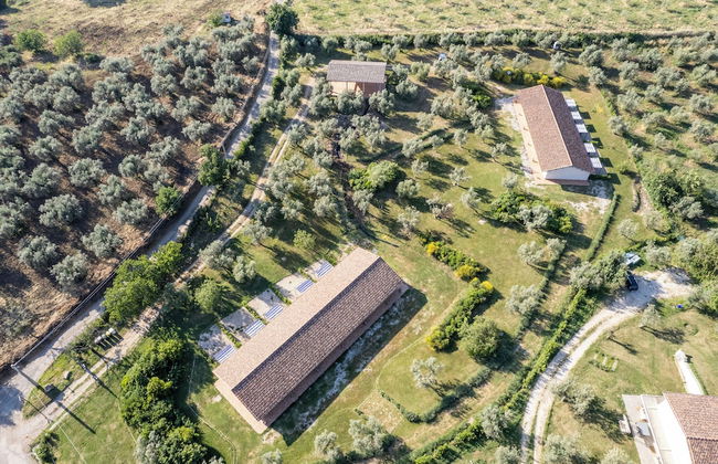 Azienda Agricola Il Bagolaro - Foto 31