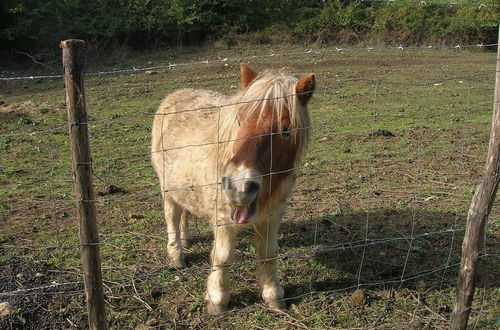 Foto 41 - Azienda Agricola Il Bagolaro