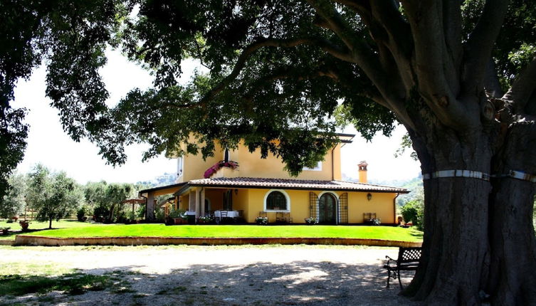 Photo 1 - Azienda Agricola Il Bagolaro