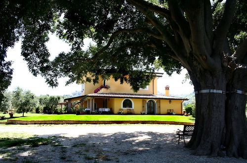 Foto 1 - Azienda Agricola Il Bagolaro