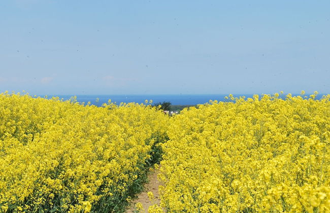 Geraeumige Ferienwohnung an der Ostsee - Foto 26