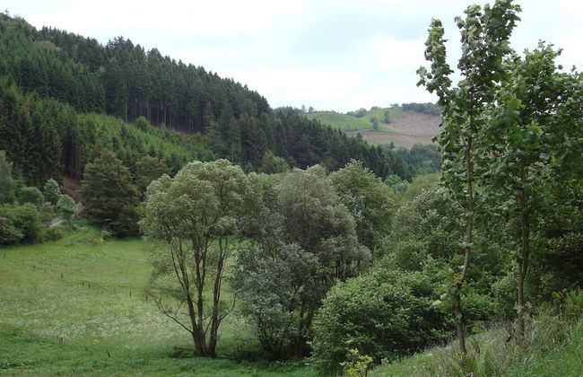Home With Garden, Hallenberg - Foto 26