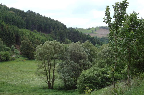 Photo 26 - Cozy Holiday Home in Hallenberg With Terrace