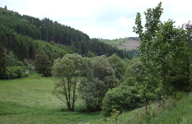 Hillside Cottage Near Winterberg - Foto 32
