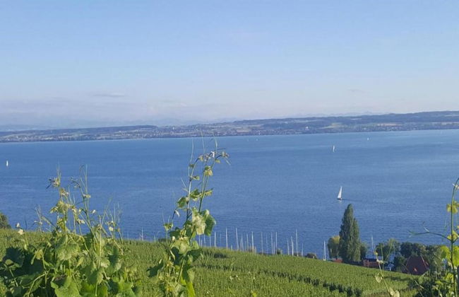Spacious Apartment near Lake Constance with Covered Balcony - Foto 22