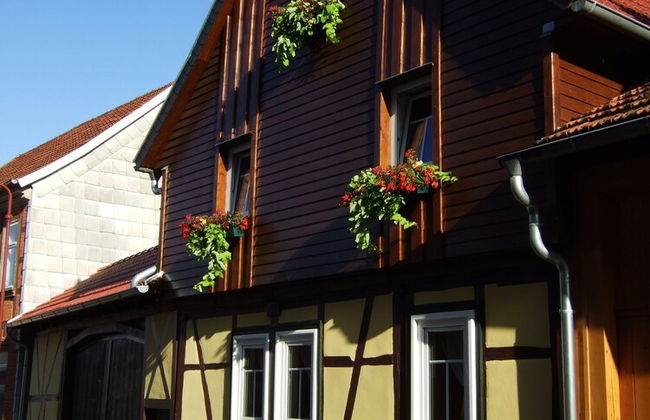 Hainich-Ferienhof - Foto 23