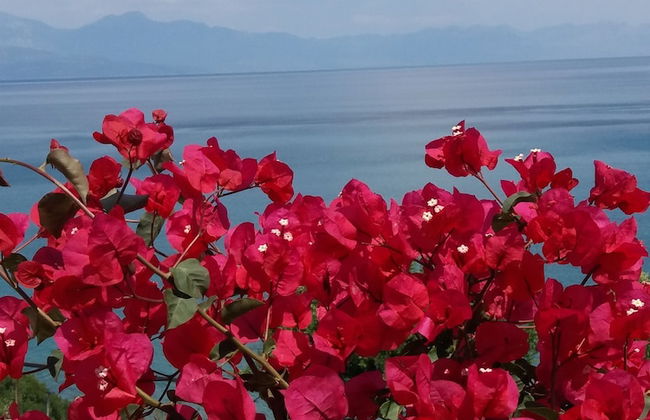 Panorama beach - Photo 52