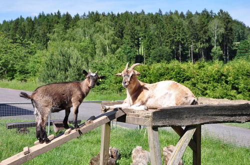 Foto 11 - Campingplatz Am Waldbad