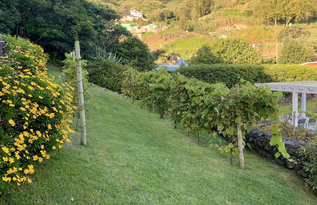 Villaverde Azores - Photo 71