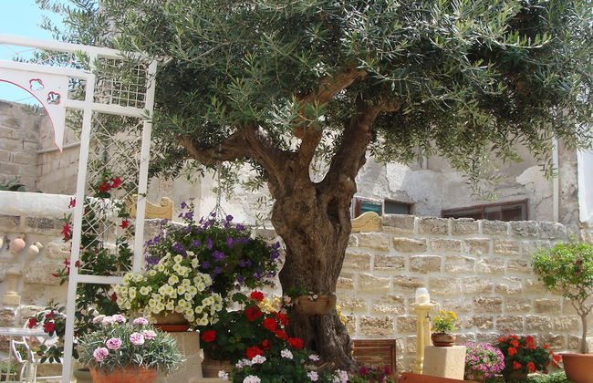 Guest House Al Gattopardo - Foto 14