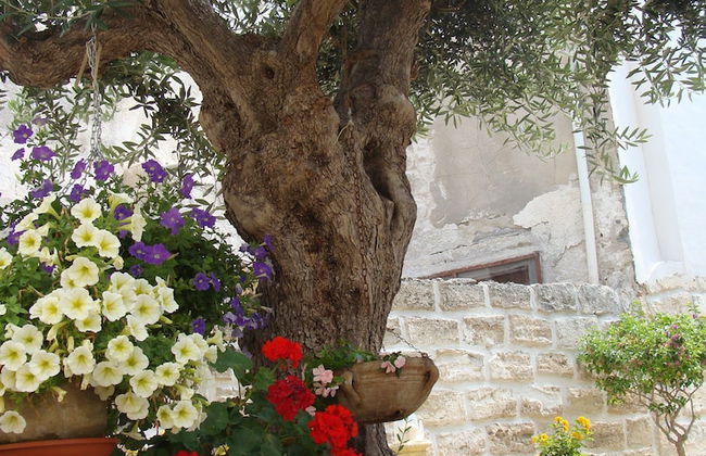 Guest House Al Gattopardo - Foto 16