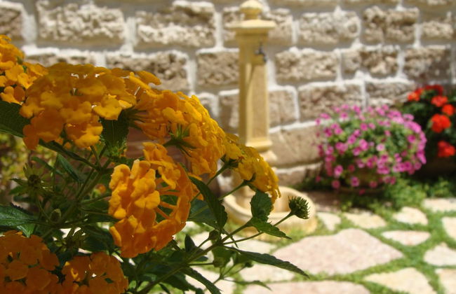 Guest House Al Gattopardo - Foto 39