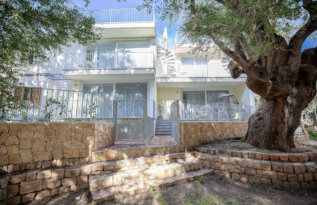 Residence Olivastro Vista Mare - Photo 1