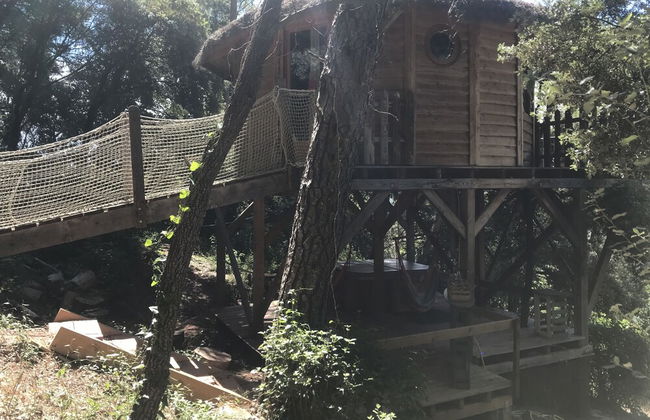 Domaine de la Tuilière - Foto 7