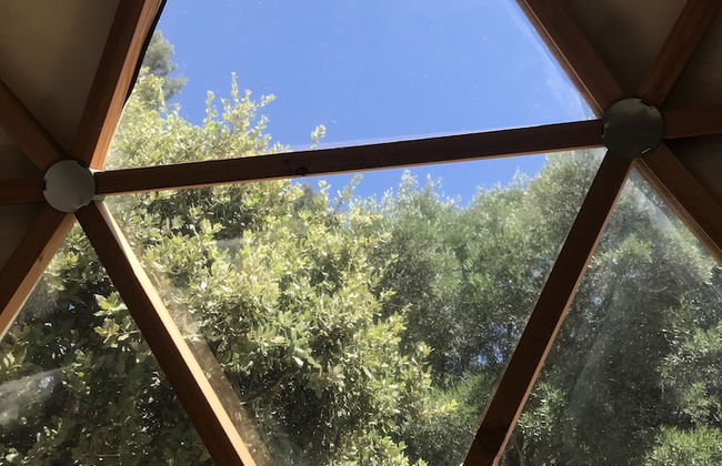 Domaine de la Tuilière - Foto 37