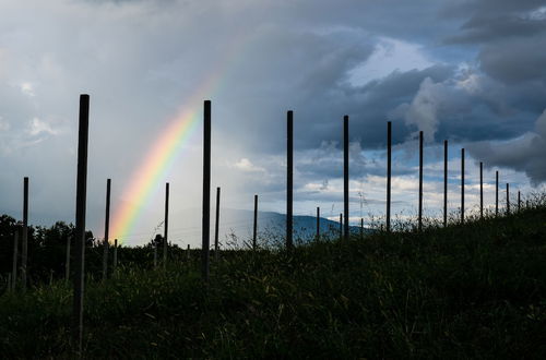 Foto 45 - Agriturismo Le Spezie