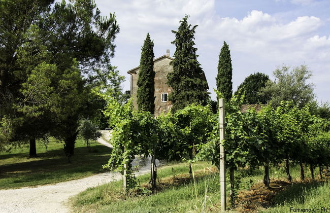 Agriturismo Le Spezie - Photo 27