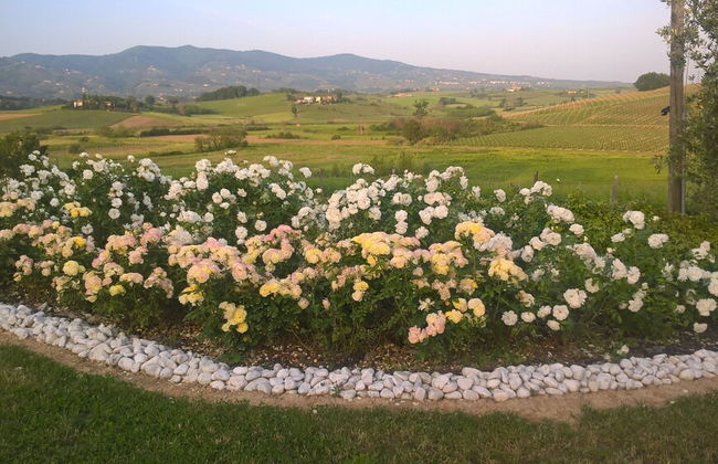 Agriturismo Spazzavento - Foto 45