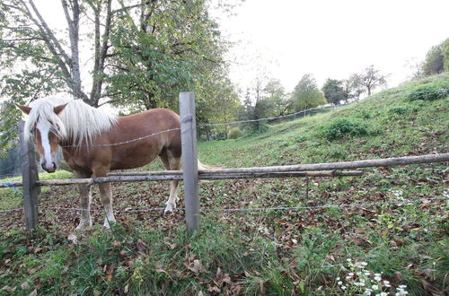 Photo 25 - Cozy Holiday Home in Leibenfels With Barbecue