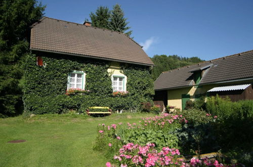Photo 1 - Holiday Home in Scheifling Near ski Area
