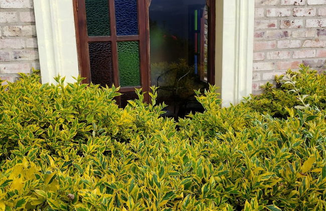 Hotel La Primavera Suites & Casas Campestres - Foto 72
