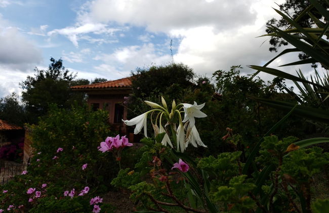 Hotel La Primavera Suites & Casas Campestres - Foto 65