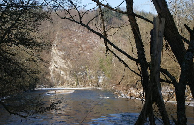 Nature Escape in Bohon - Foto 23