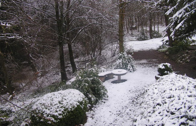 Nature Escape in Bohon - Foto 21