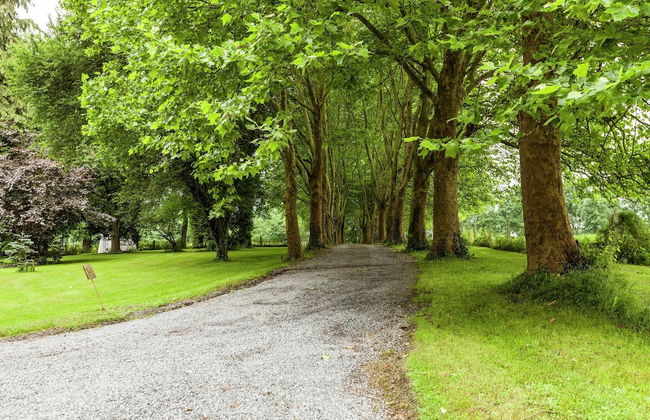 Nature Escape in Bohon - Foto 40