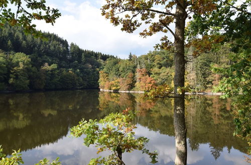 Photo 32 - Beautiful and Authentic Cottage in the Heart of the Ardennes