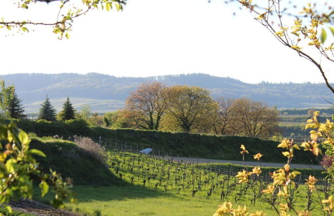 Brunnenhof Garden View - Photo 10