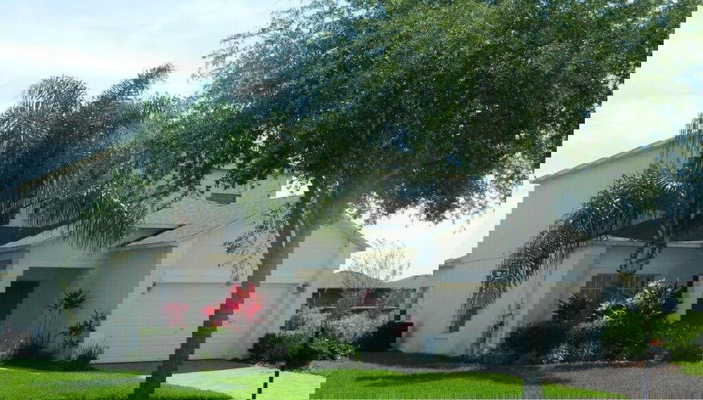 Image principale