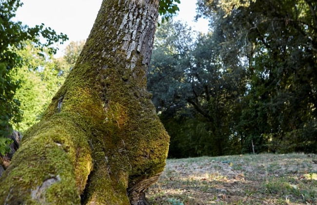 Le Gîte étoilé - Foto 25