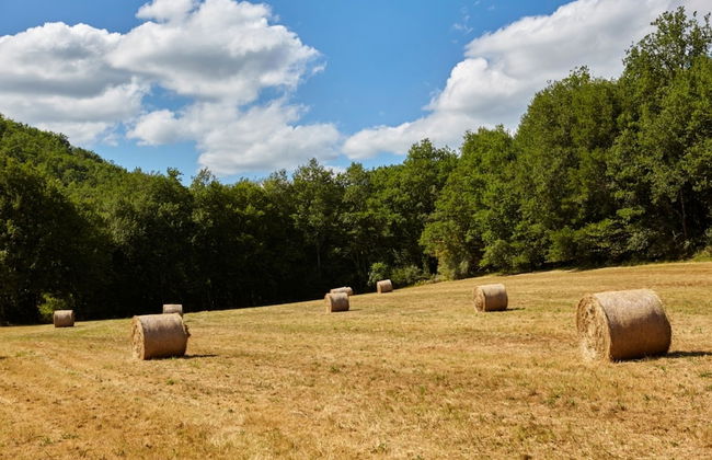 Le Gîte étoilé - Foto 23